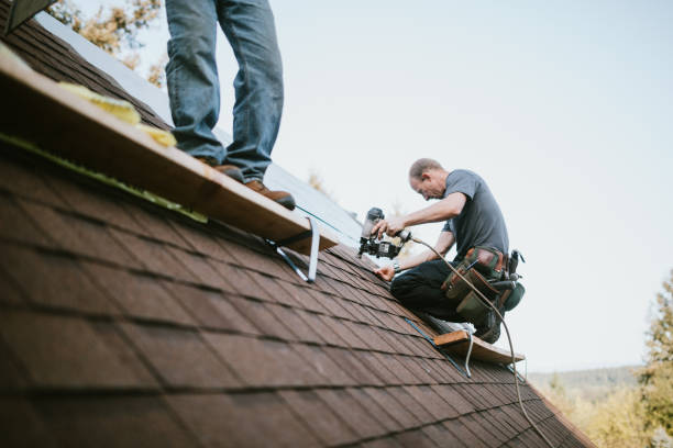 Best New Roof Installation  in Grayling, MI